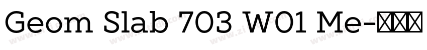 Geom Slab 703 W01 Me字体转换
